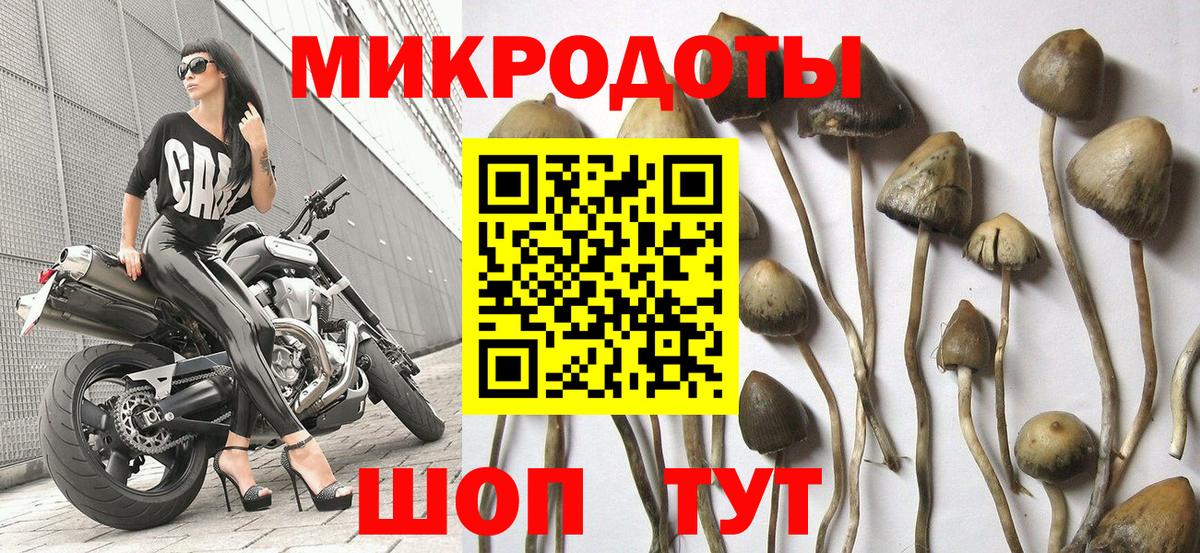 Галлюциногенные грибы Cubensis Киселёвск