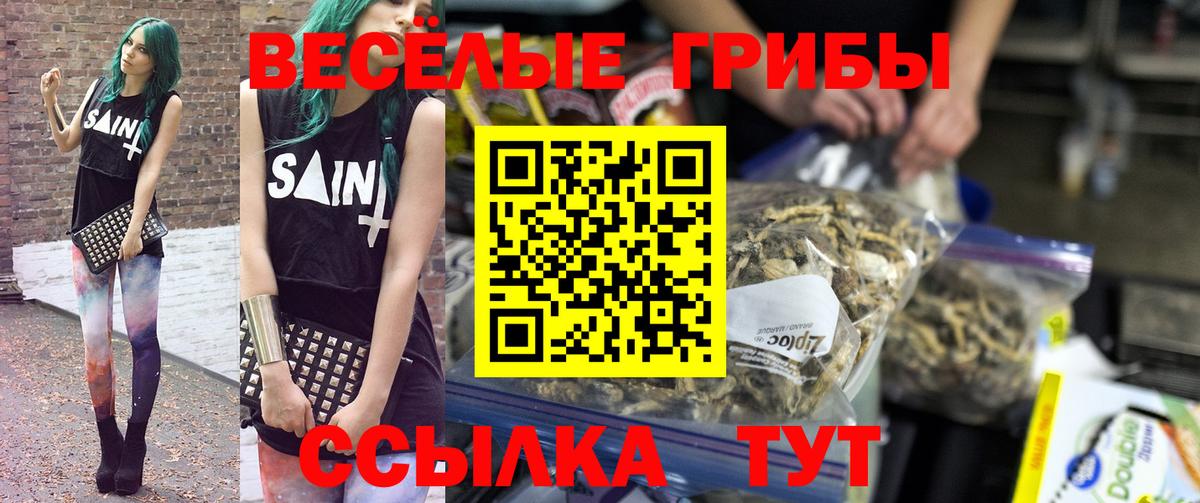 Псилоцибиновые грибы ЛСД  Вход с VPN  Киселёвск 
